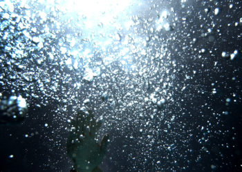Haunting Dive Reads