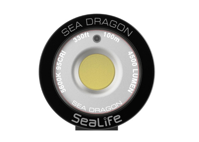 Sea Dragon