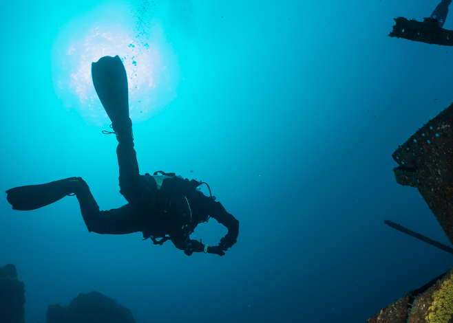 Scuba Diving in Tasmania