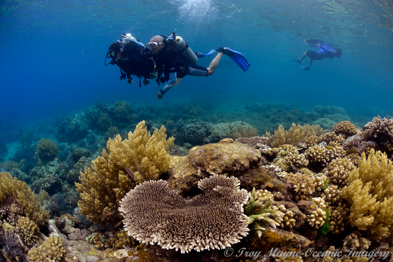 Making Sustainable Tourism the Standard in the Dive Industry • Scuba ...