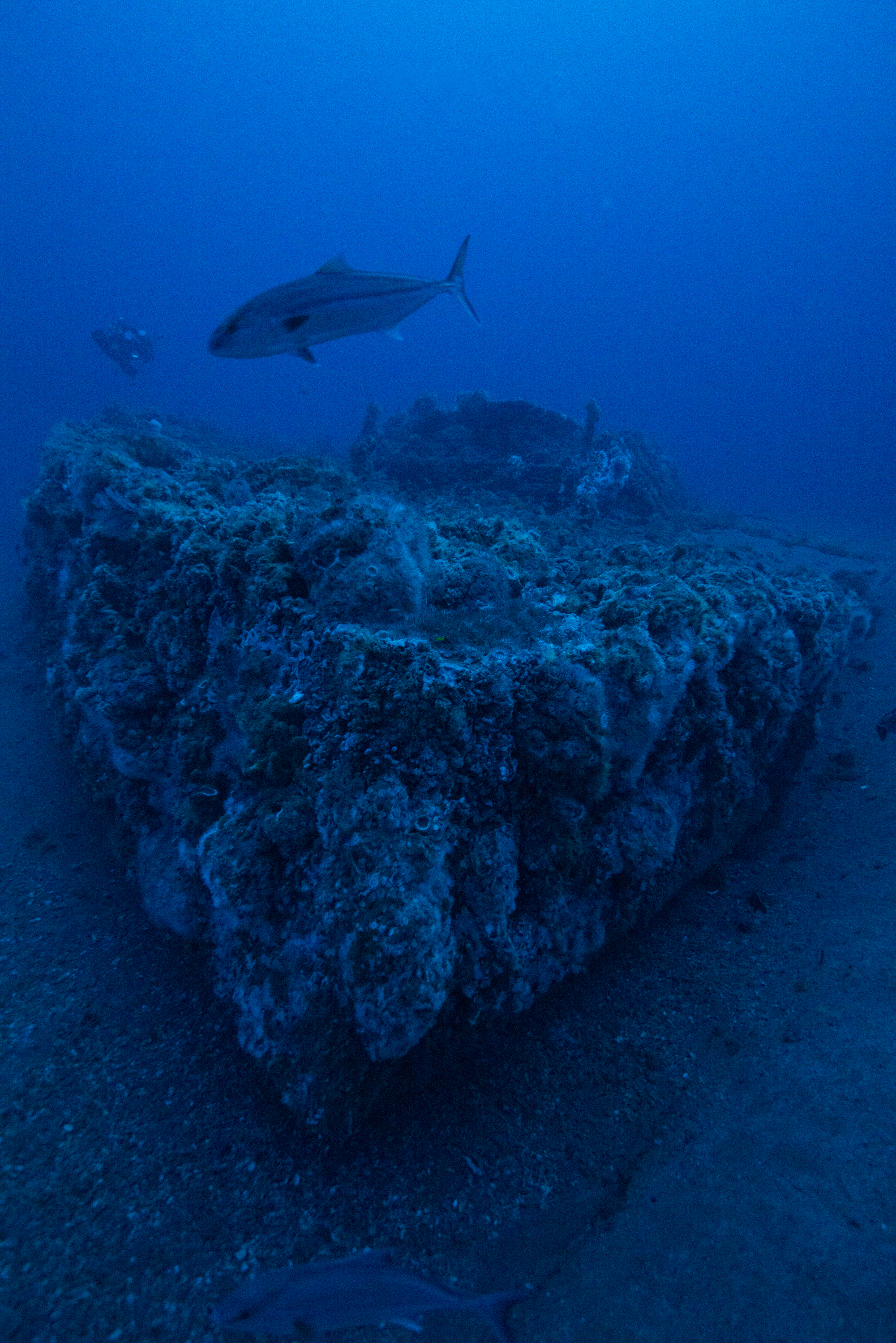 NOAA National Marine Sanctuary Shipwrecks: The USS Monitor • Scuba ...