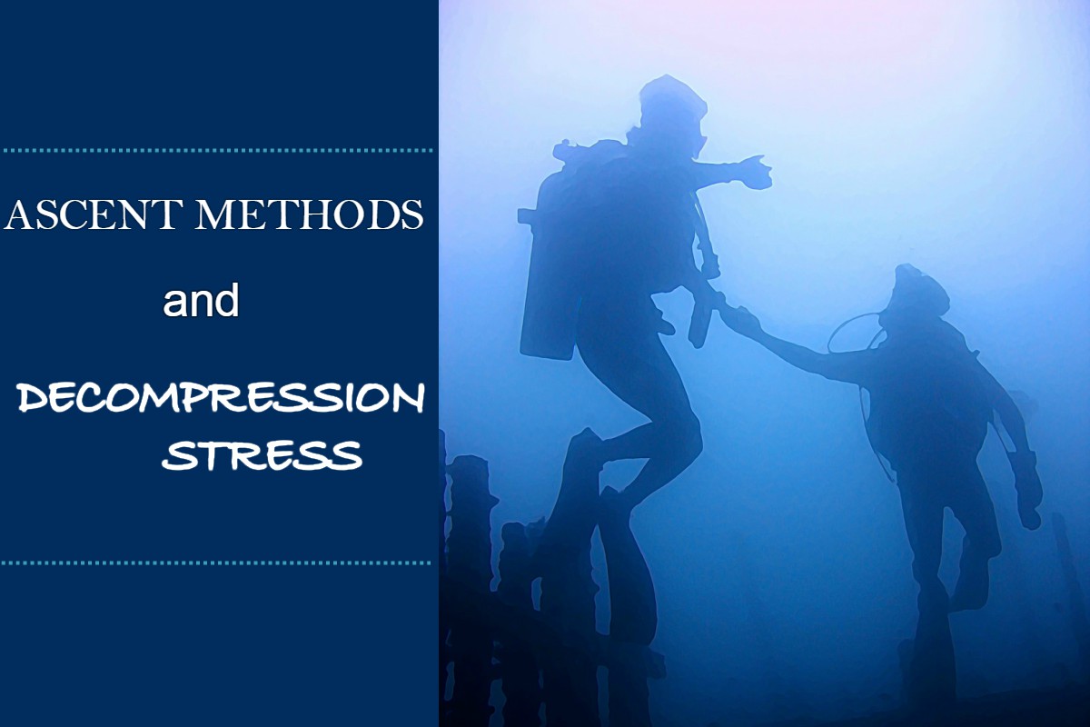 Diving Ascent Methods and Stress • Scuba Diver Life