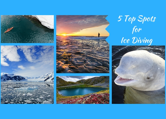 Top Spots for Ice Diving