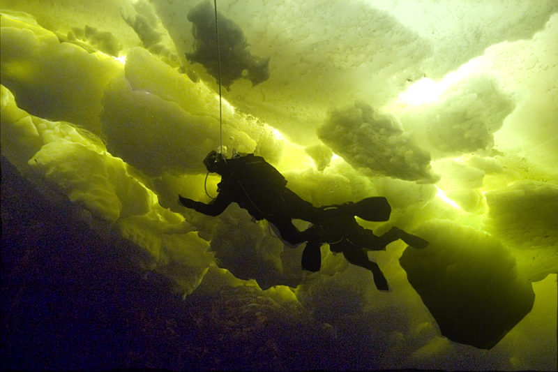 Five Top Spots for Ice Diving • Scuba Diver Life
