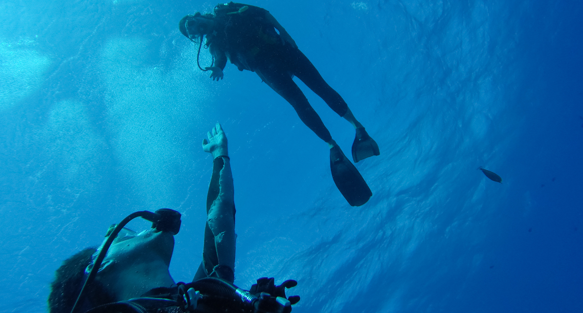 the-proper-role-of-a-dive-guide-scuba-diver-life