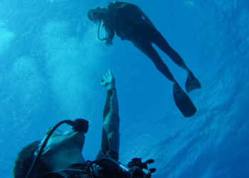 Dive Guide