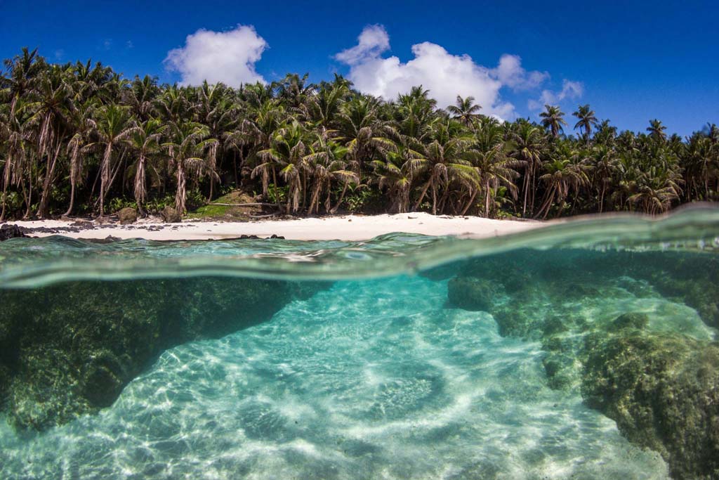 Scuba Diving Christmas Island • Scuba Diver Life