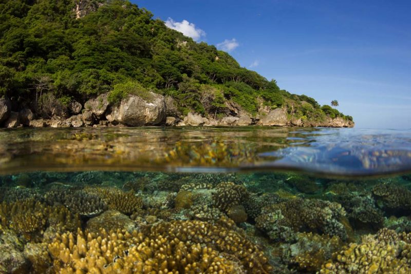 Scuba Diving Christmas Island • Scuba Diver Life