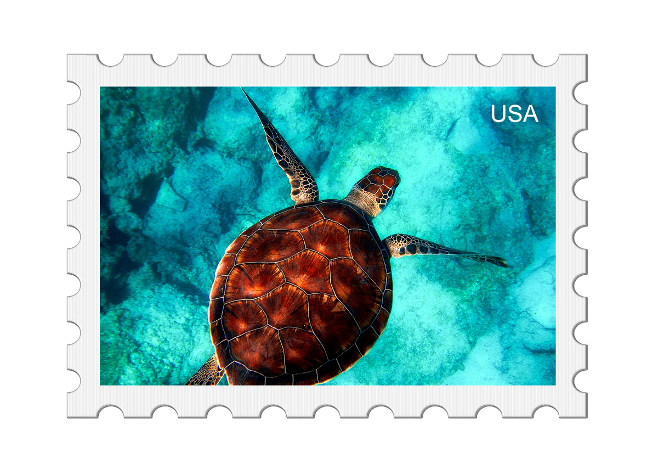Ocean Stamps from Around the World