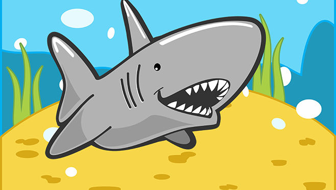 Shark Conservation Groups