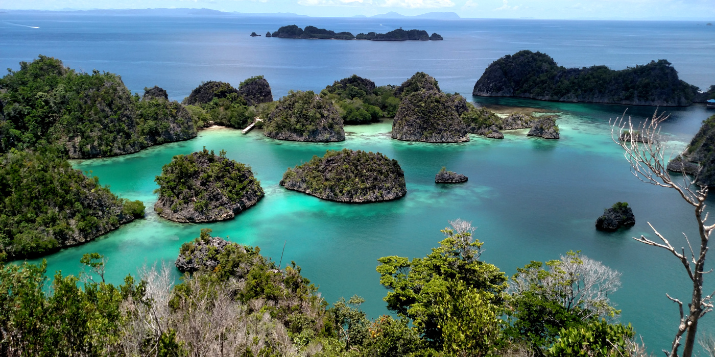 Five Great Dive Sites in Raja Ampat • Scuba Diver Life