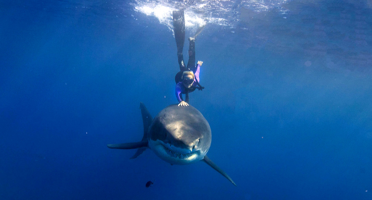 Women in Diving: Ocean Ramsey • Scuba Diver Life