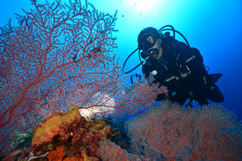 Diving Munda Wrecks and Reefs • Scuba Diver Life