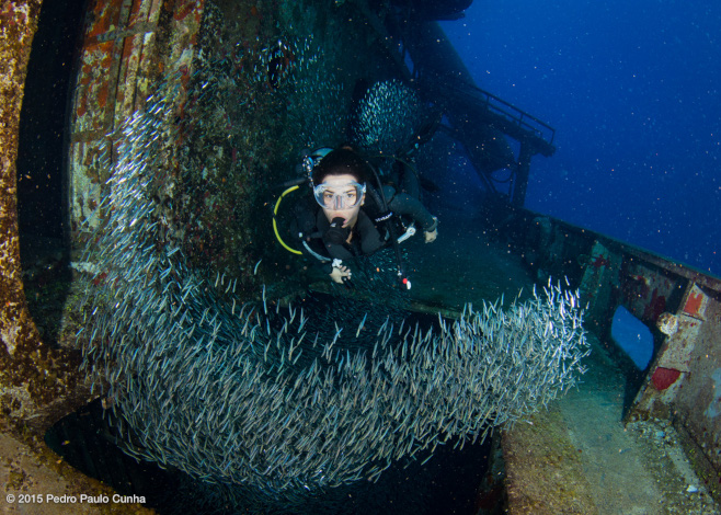 Wreck Diving in the Caribbean