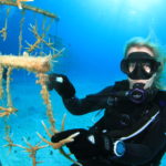 Reef Rescue Network