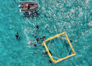 underwater robot