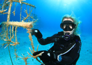 Reef Rescue Network