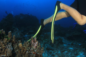 scuba diving trip