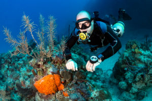 trends in scuba diving