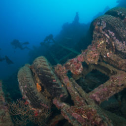 Vanuatu wreck dives