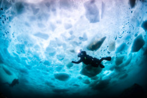 Arctic_July dive destinations