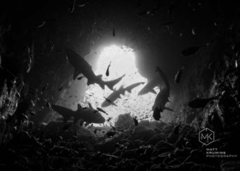 Fish Rock