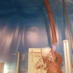 Florida Keys History of Diving Museum