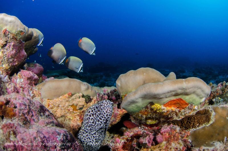 Mergui Archipelago