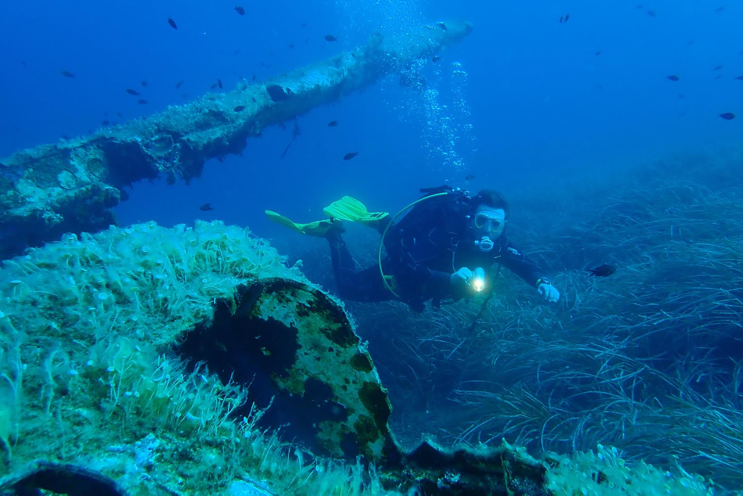 Italy • Scuba Diver Life