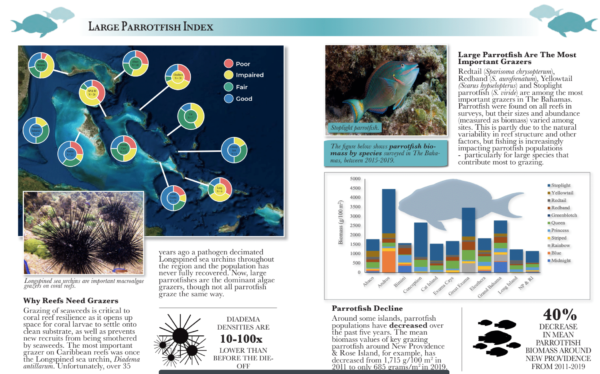 Bahamas Coral Reef report Card