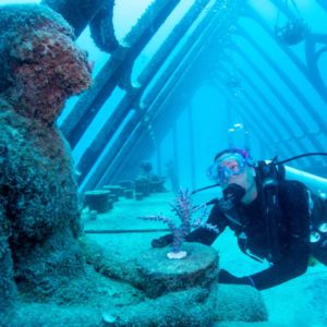 Museum of Underwater Art in Townsville