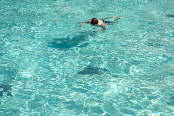 alternative bucket list destinations stingray city