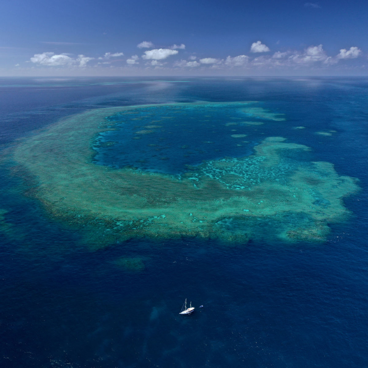 Top 10 Secret Spots on the Great Barrier Reef | LaptrinhX / News