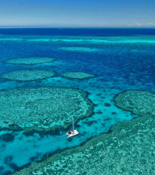 Fitzroy Reef Great Barrier Reef