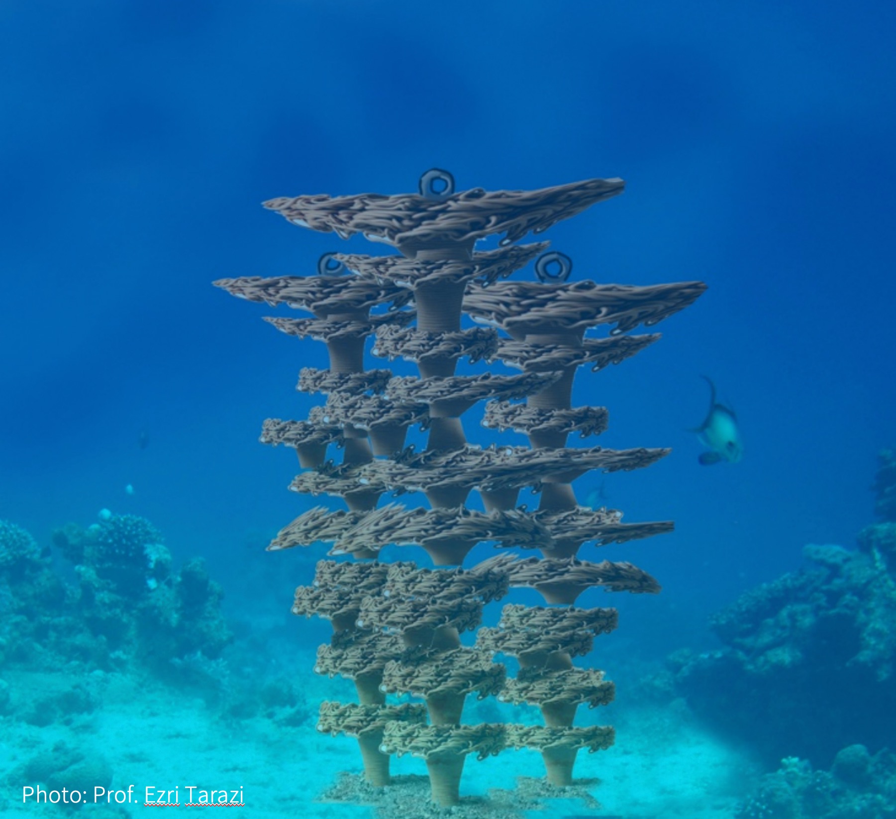 3D Printed Terra Cotta Tiles Create Artificial Reefs in the Red