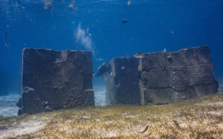 Scuba Hunt Cozumel