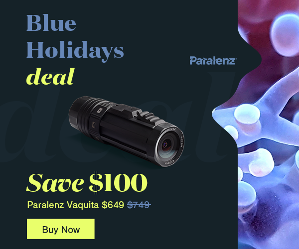 Paralenz Blue Holiday