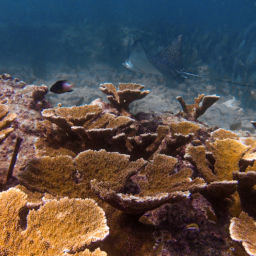 Florida Keys National Marine Sanctuary