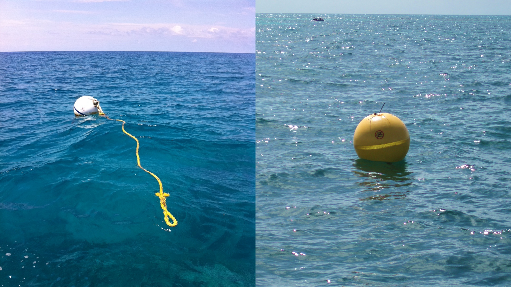 Florida Keys National Marine Sanctuary Sanctuary preservation areas, marked by yellow buoys, protect shallow reefs that help sustain critical marine species throughout different life stages. Diving, snorkeling, and boating are allowed inside these zones. The sanctuary maintains a network of mooring buoys so boaters can visit without damaging the reef. Image: NOAA