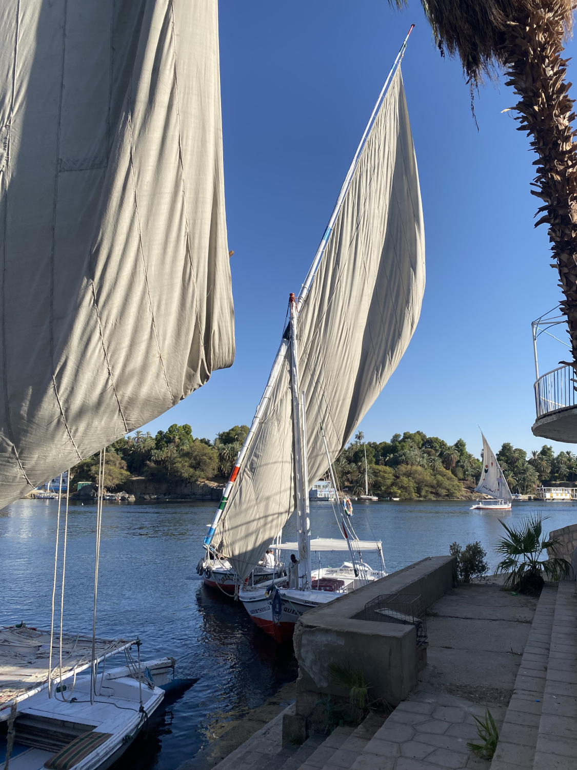 An afternoon felucca ride on the Nile was a highlight of the trip.