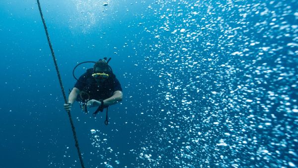 Scuba diving photo: diver checking dive computer