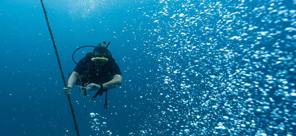 Scuba diving photo: diver checking dive computer