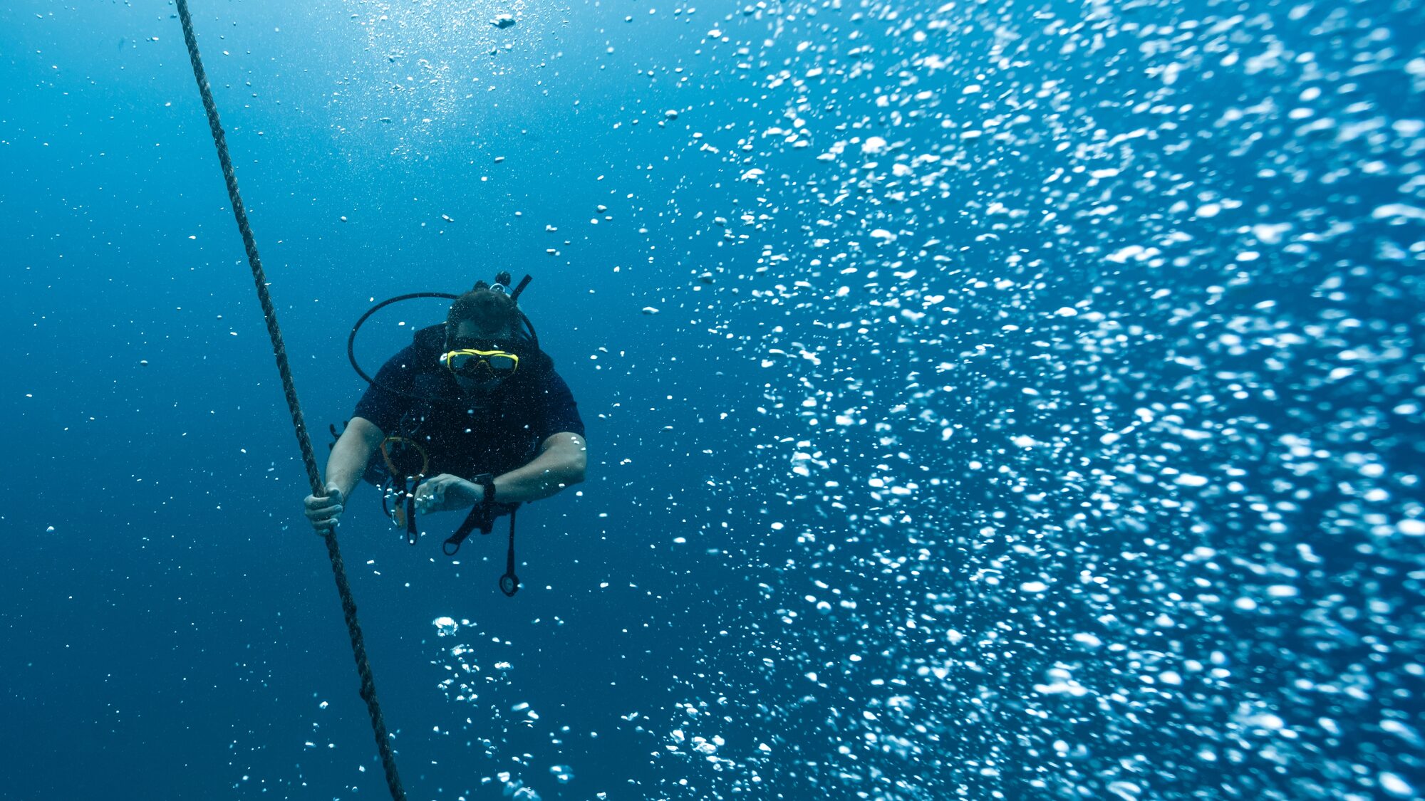 Scuba diving photo: diver checking dive computer