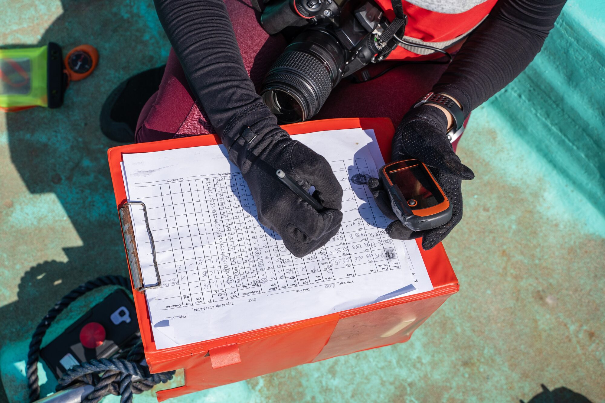 Scuba diving photo: diver wrist slate computer
