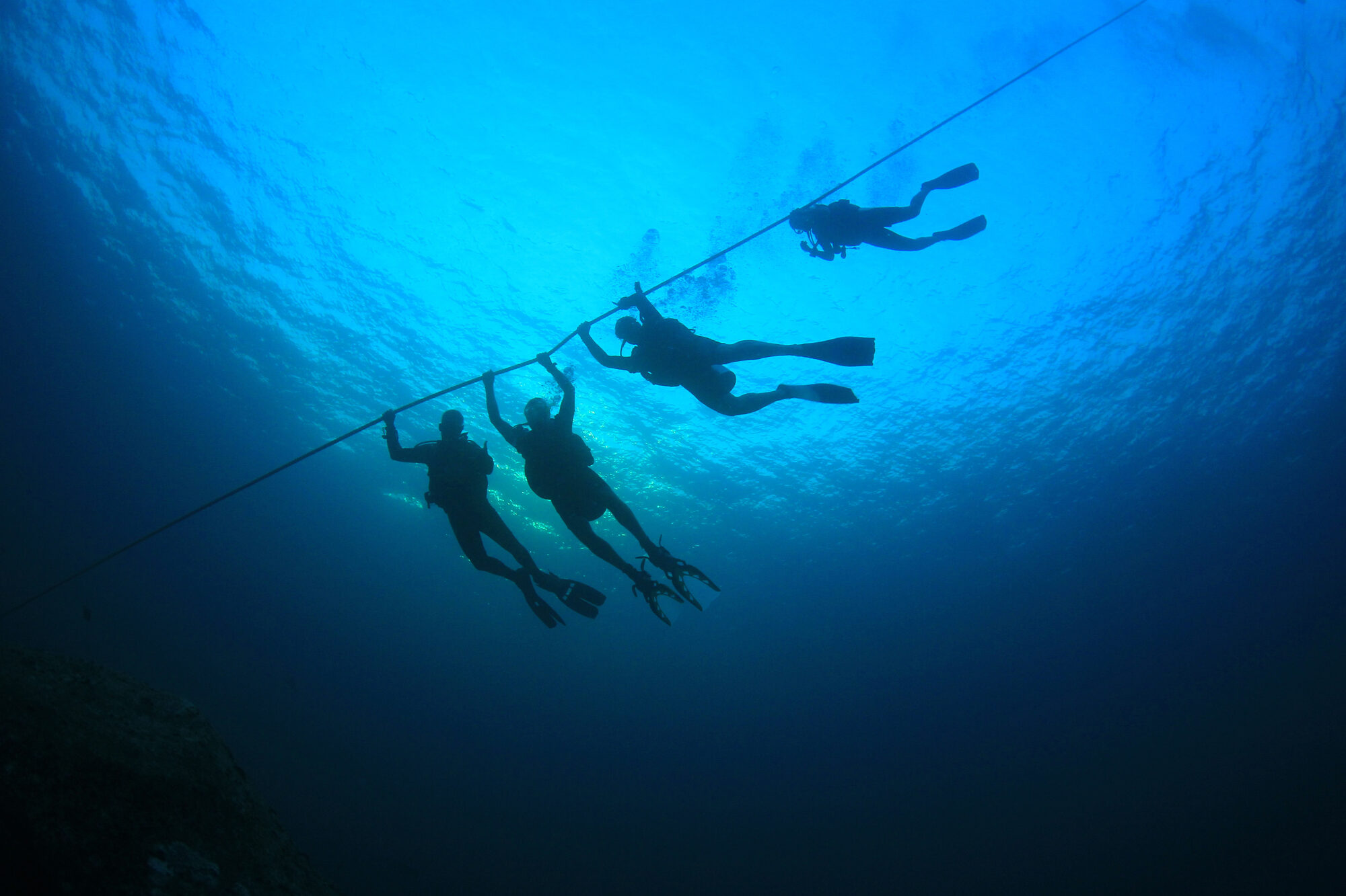 Scuba diving photo: divers descend buoy line