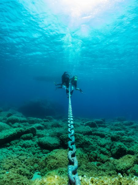 Scuba diving photo: safety stop group divers