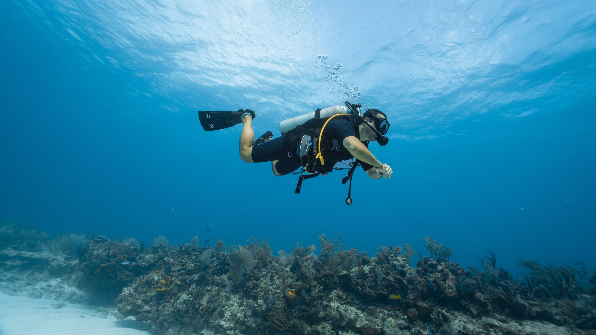 Scuba diver hovering above a coral reef while practising buoyancy control