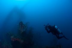 <b>Ultimate Diving</b>