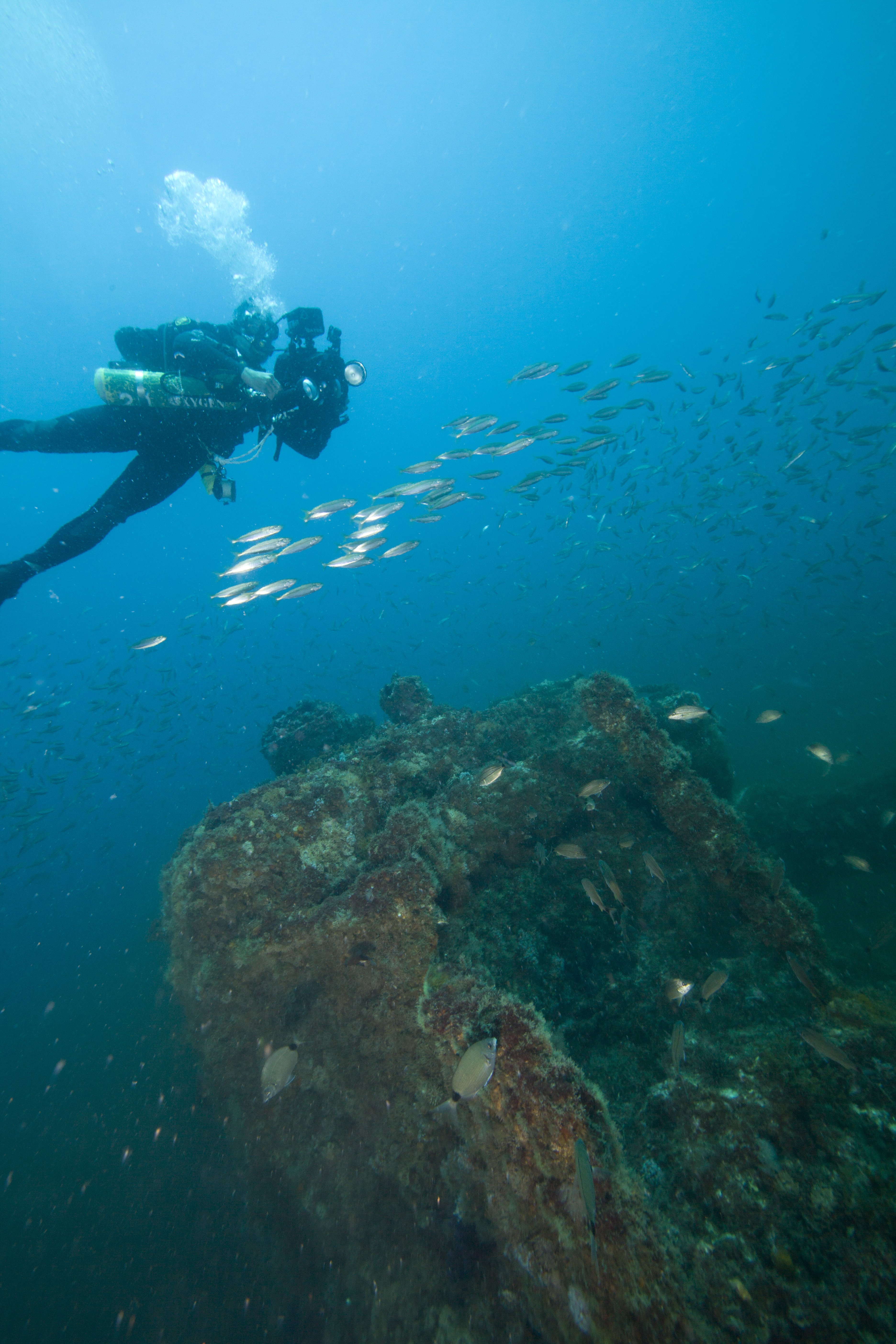 A diver explores the wreck of Dixie Arrow. (Photo credit: Greg McFall/NOAA)