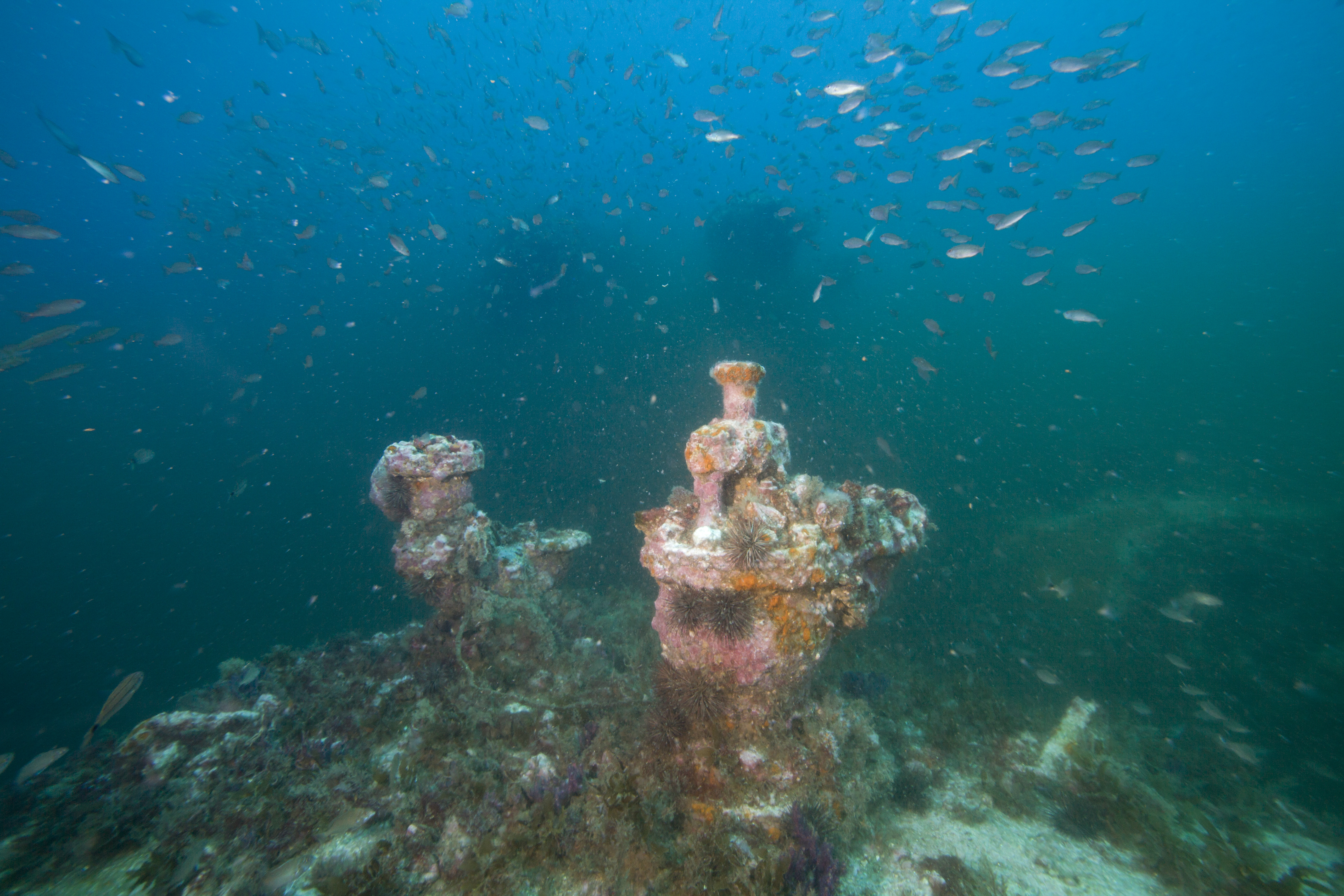 Marine life now encrusts the valves on top of Dixie Arrow’s boilers. (Photo credit: Greg McFall/NOAA)